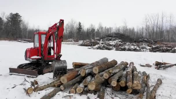 Tractor Pile Logs Deforestation Winter Time — Stock video
