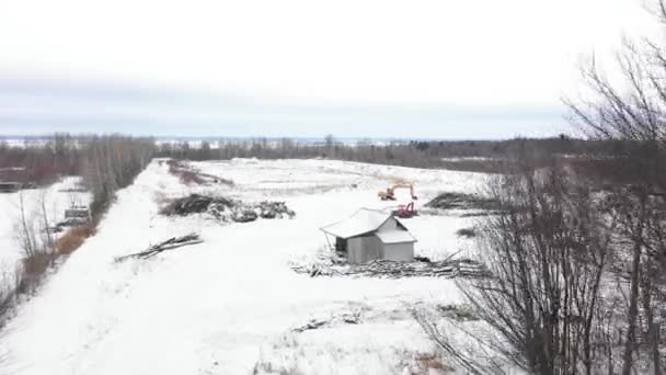 Excavation Deforestation Area Winter Setting Aerial — ストック動画