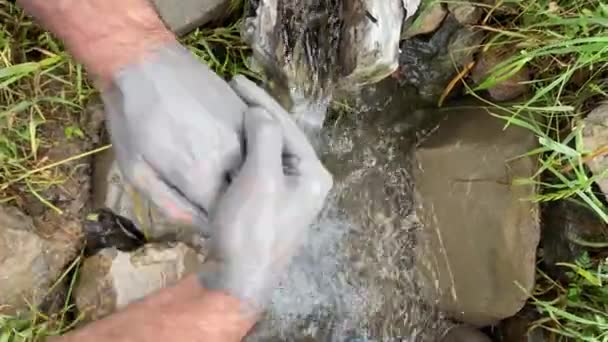 Traditional Clean Washing Hands Grey Wood Ashes Hand Washing Technique — Vídeo de Stock