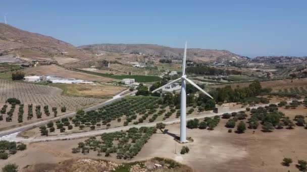 Wind Turbines Wind Farm Olive Groves Growing Field Sunny Day — Stockvideo