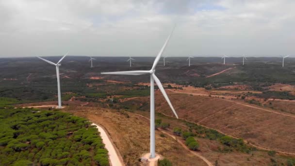 Zdjęcie Lotnicze Farmy Wiatrowej Barao Sao Joao Portugalia — Wideo stockowe