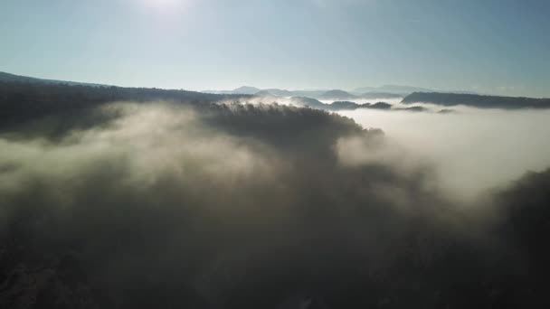 Aerial View Forests Covered Clouds Beautiful Blue Sky Sunshine Pant — Stock Video