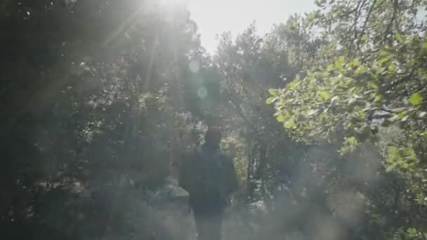 Man Wearing Hat Jacket Walking Narrow Trail Trees Forest Sun — Stockvideo