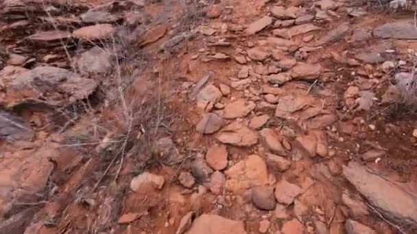 Walking Dry Rocky Path Harsh Outback Australia — Wideo stockowe