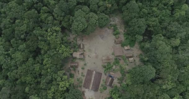 Selva Amazônica Com Tiro Aéreo Tribo Indígena — Vídeo de Stock