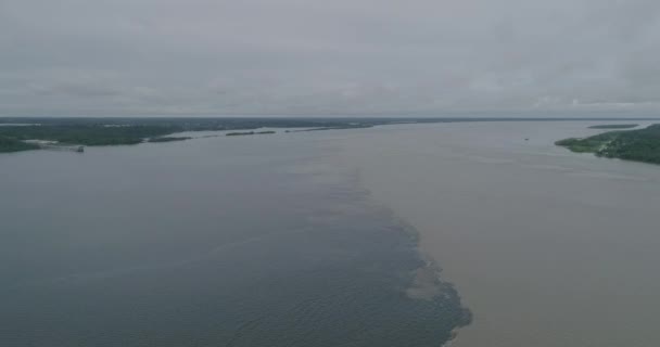 Συνάντηση Των Υδάτων Negro River Και Solimoes River Που Αποτελούν — Αρχείο Βίντεο