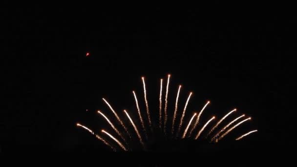 New Year Eve Fireworks Celebration Lots Fireworks Night Sky — Videoclip de stoc