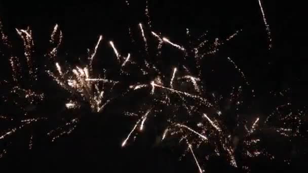 New Year Eve Fireworks Celebration Lots Fireworks Night Sky — Stock Video