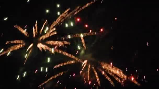 New Year Eve Fireworks Celebration Lots Fireworks Night Sky — Video