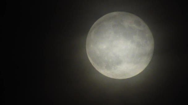 Mond Mit Wolken Der Nacht Gruselige Szene Mit Vollmond Und — Stockvideo