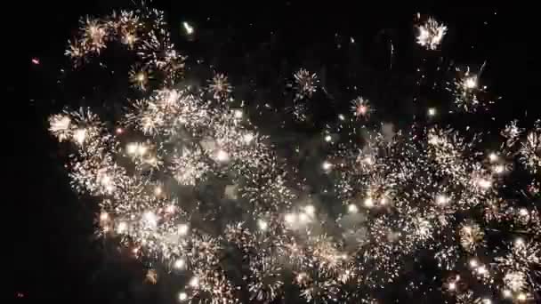 Fête Nouvel Feux Artifice Beaucoup Feux Artifice Dans Ciel Nocturne — Video
