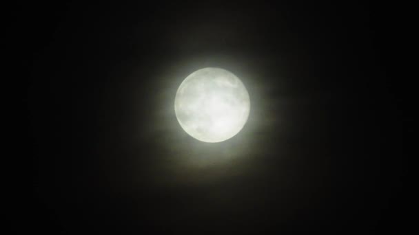 Луна Облаками Ночью Страшная Сцена Полной Луной Облаками Темную Ночь — стоковое видео