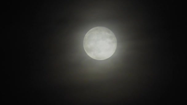 Geceleri Bulutlu Karanlık Bir Gecede Dolunay Bulutların Olduğu Ürkütücü Bir — Stok video
