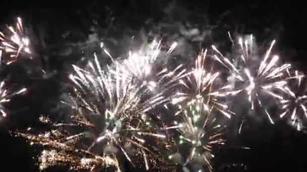 New Year Eve Fireworks Celebration Lots Fireworks Night Sky — Stockvideo