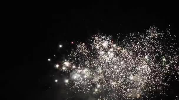 Fête Nouvel Feux Artifice Beaucoup Feux Artifice Dans Ciel Nocturne — Video