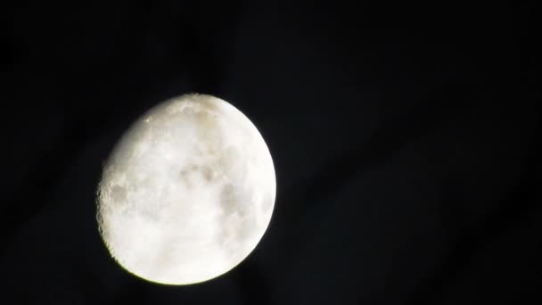 Luna Con Nuvole Notte Scena Spettrale Con Luna Piena Nuvole — Video Stock