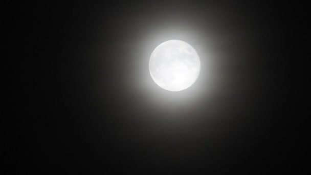 Luna Con Nubes Por Noche Escena Espeluznante Con Luna Llena — Vídeos de Stock