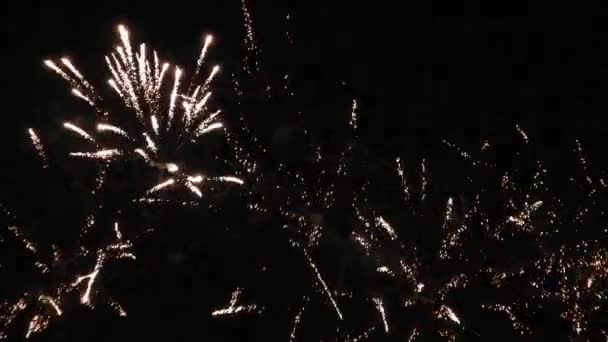New Year Eve Fireworks Celebration Lots Fireworks Night Sky — 图库视频影像