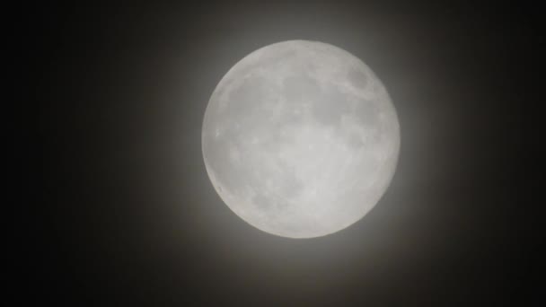 Moon Clouds Night Spooky Scene Full Moon Clouds Dark Night — Stockvideo