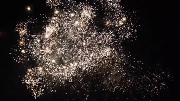 Celebración Los Fuegos Artificiales Año Nuevo Muchos Fuegos Artificiales Cielo — Vídeos de Stock