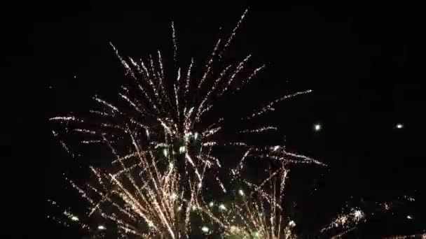 New Year Eve Fireworks Celebration Lots Fireworks Night Sky — Stok video