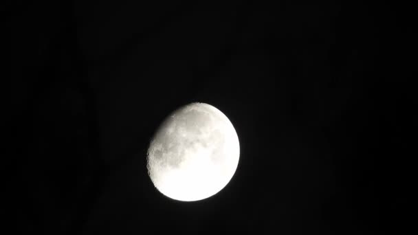 Maan Met Wolken Nachts Spookachtige Scène Met Volle Maan Wolken — Stockvideo