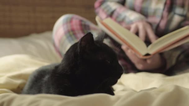 Studious Pet Owner Reading Book Black Cat Medium Shot — Wideo stockowe