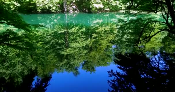 Blue Sky Reflects Beautiful Green Fresh Forest Lake Tree Foliage — Stockvideo