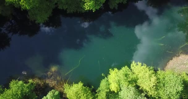 Hermoso Bosque Lago Agua Dulce Antigua Edad Hielo Bosque Hyrcanian — Vídeo de stock