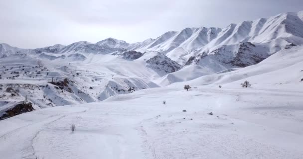 Landing Beautiful White Snowy Ground Surrounded Icy High Cold Mountains — Stock videók
