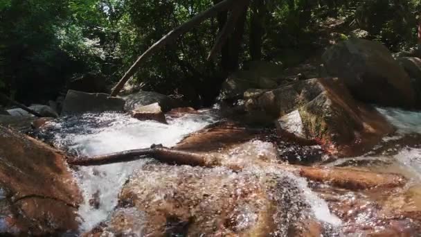 Slow Motion Shot River Rapids Riells River Catalonia Spain Locked — Αρχείο Βίντεο
