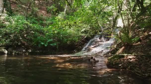 Lower Waterfalls River Riells Catalonia Spain Flowing Pool Locked Shot — Video