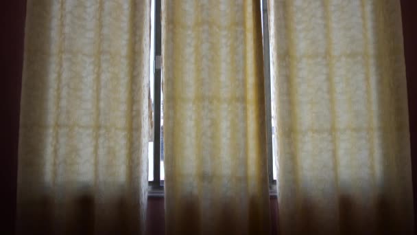 Curtains Window Home — Vídeo de Stock
