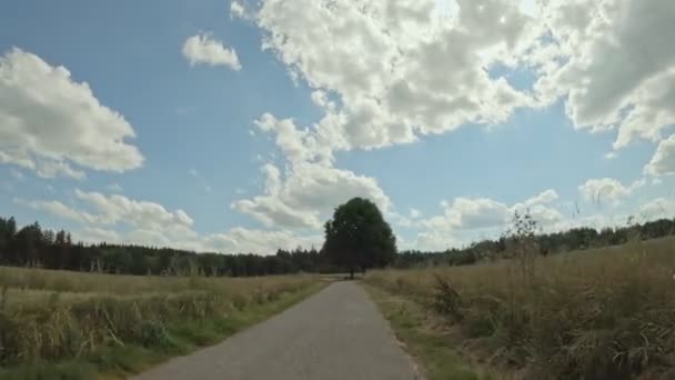 Bicycke Excursion Beautiful Summerday Passing Cornfields Big Tree Nature Moment — Video