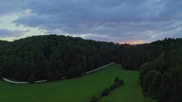 Vista Del Atardecer Desde Dron Sobre Árboles Del Bosque Mientras — Vídeos de Stock