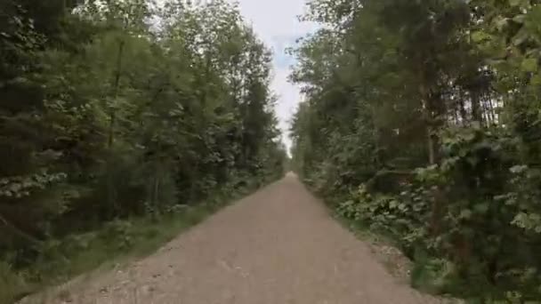 Bicycle Drive Green Forest High Trees Cloudy Blue Sky Perfect — Wideo stockowe