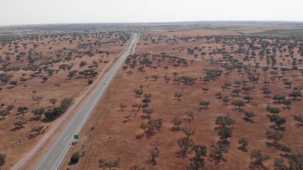 Aerial Panorama Shot Beautiful Countryside Landscape Albernoa Sunny Day Portugal — Stockvideo