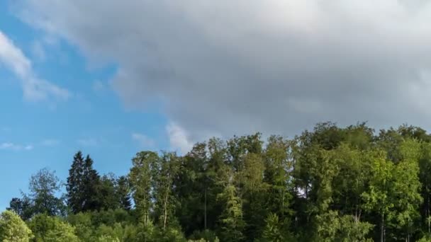 Timelapse Moving White Clouds Green Trees While Half Moon Rising — Stockvideo