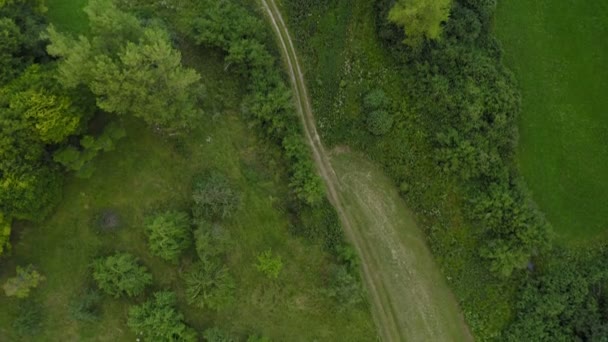 Drone Flight Smooth Top View Wonderful Grean Meadow Trees Little — Vídeos de Stock