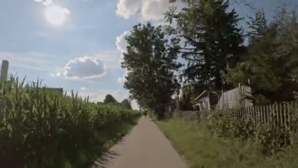 Healthy Bicycle Trip Woman Its Child Backseat Sunny Warm Summerday — Vídeo de Stock