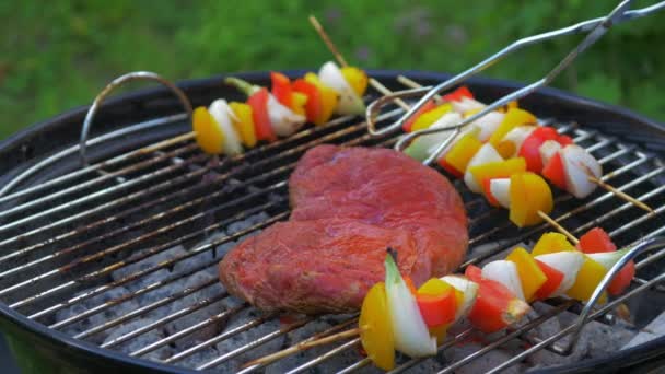 Flank Steak Mixed Vegetables Skewer Being Grilled Hot Coals Steak — Vídeo de Stock