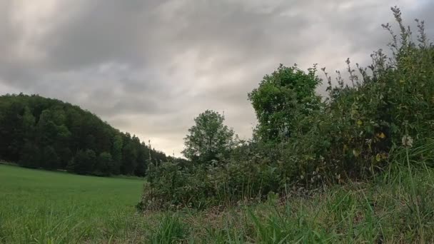 Timelapse Moving Clouds Nature Green Meadow Filmed Lower Perspective While — Stock videók