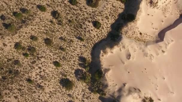 Aerial View Massive White Sand Dune Arid Region Northern Cape — Stok video