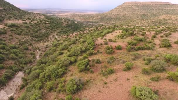 Aerial View Mountainous Landscape Karoo Region South Africa — 图库视频影像