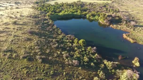 Aerial View Scenic Pond Wetland Area Northern Cape South Africa — 비디오