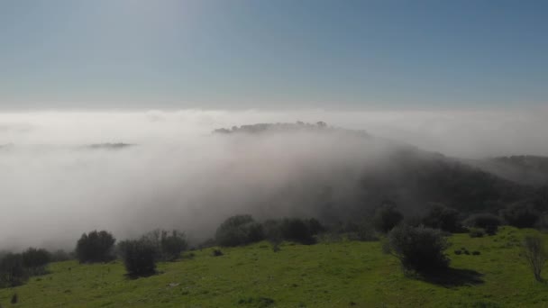 Flight Lush Green Grass Vegetation Hillside Grey Fog Alqueva Valleys — ストック動画