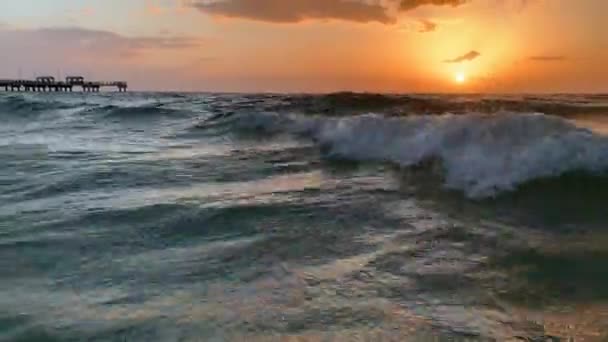 Two Kids Swimming Jumping Waves Ocean Beach Sunset Florida — Stockvideo