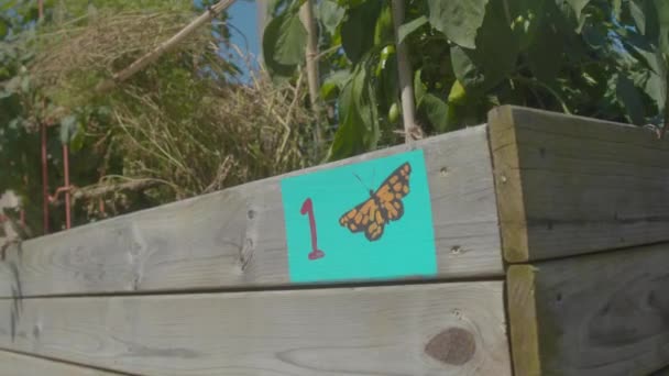 Ручна Розфарбована Метелик Садовий Знак — стокове відео
