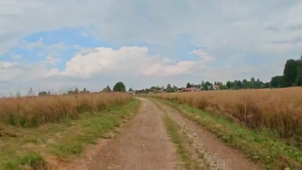 Hyperlapse Bicycle Trip Drivers View Country Road Beautiful Warm Summer — Stockvideo