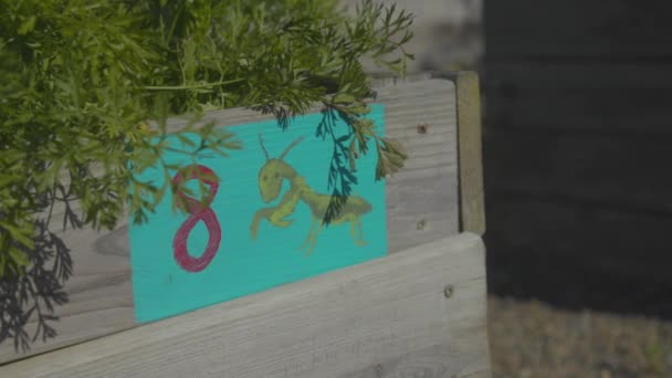 Grasshopper Garden Sign Painted Children Fun — 비디오